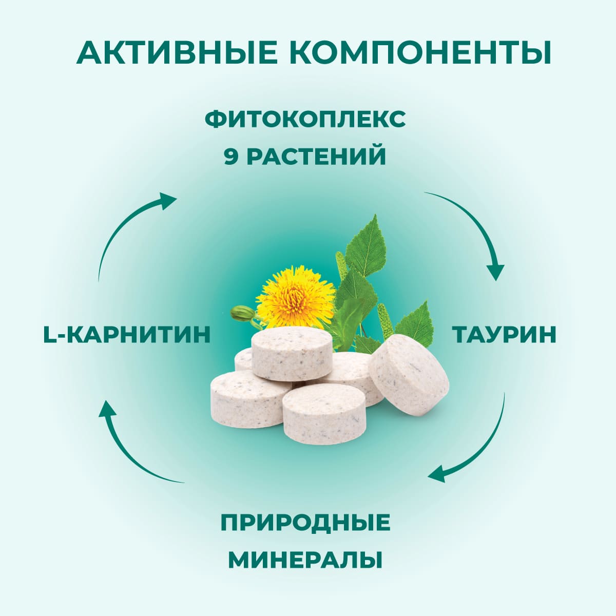 fitominy-forte-protivoallergicheskie-koshkam-sobakam-3