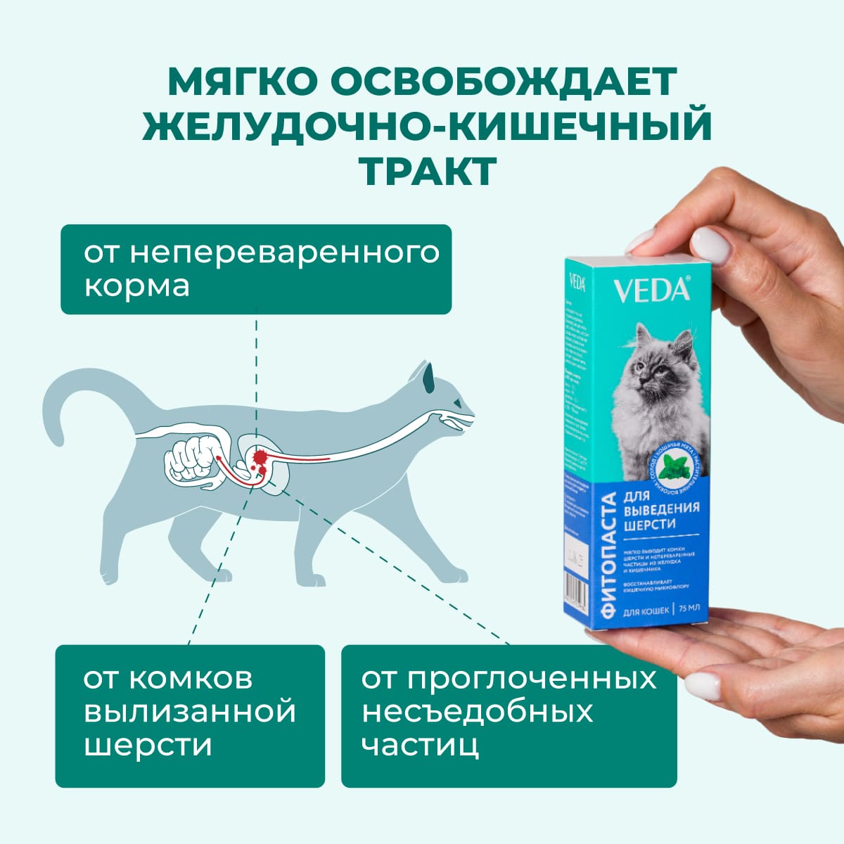 fitopasta-dlya-vyvedeniya-shersti-koshka-04