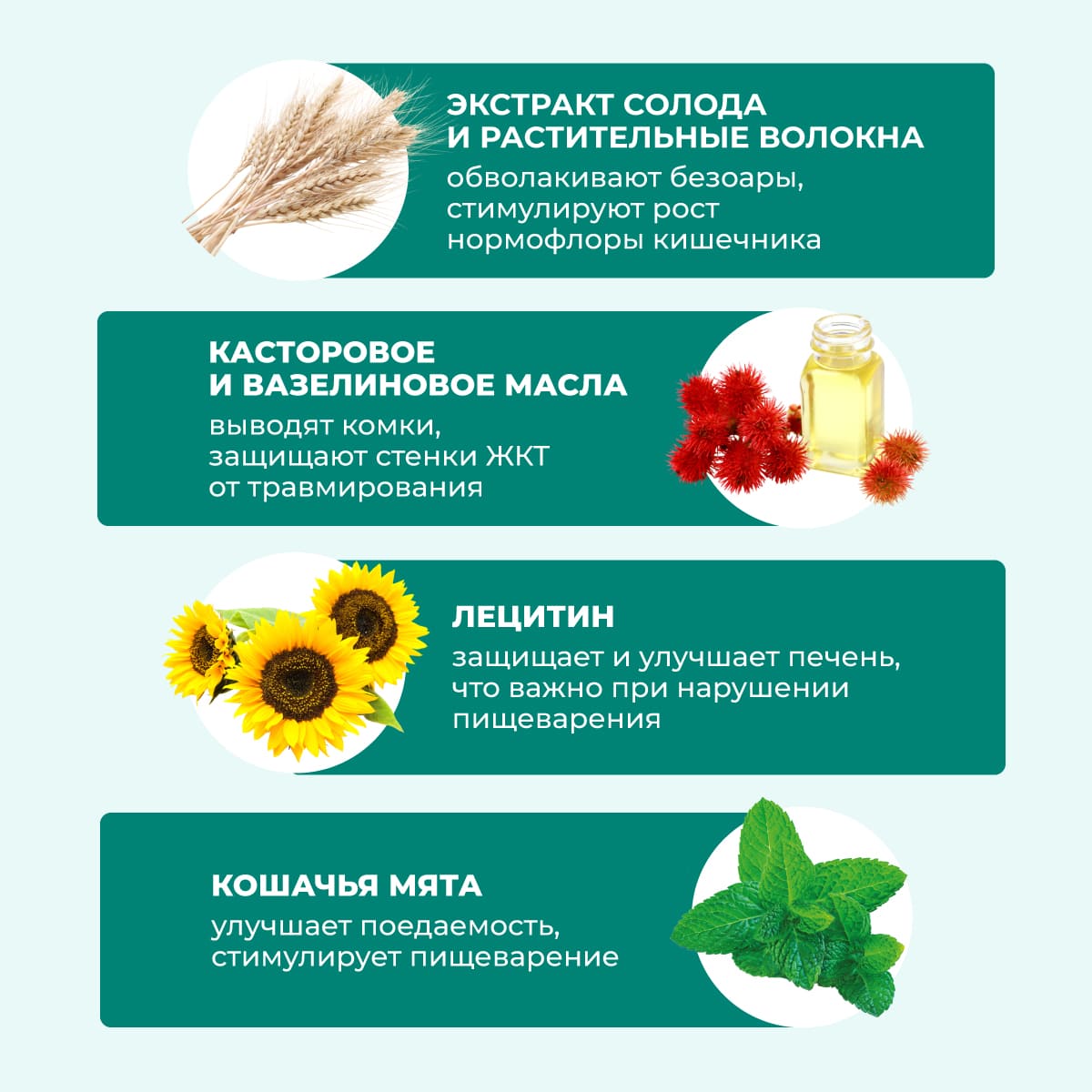 fitopasta-dlya-vyvedeniya-shersti-koshka-06