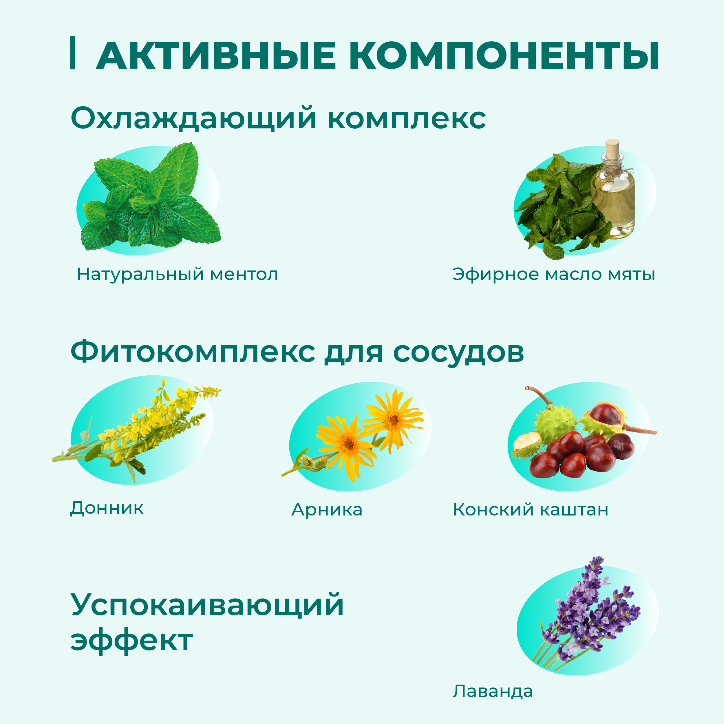 gel-relaksiruyuschij-dlya-loshadej-100-01