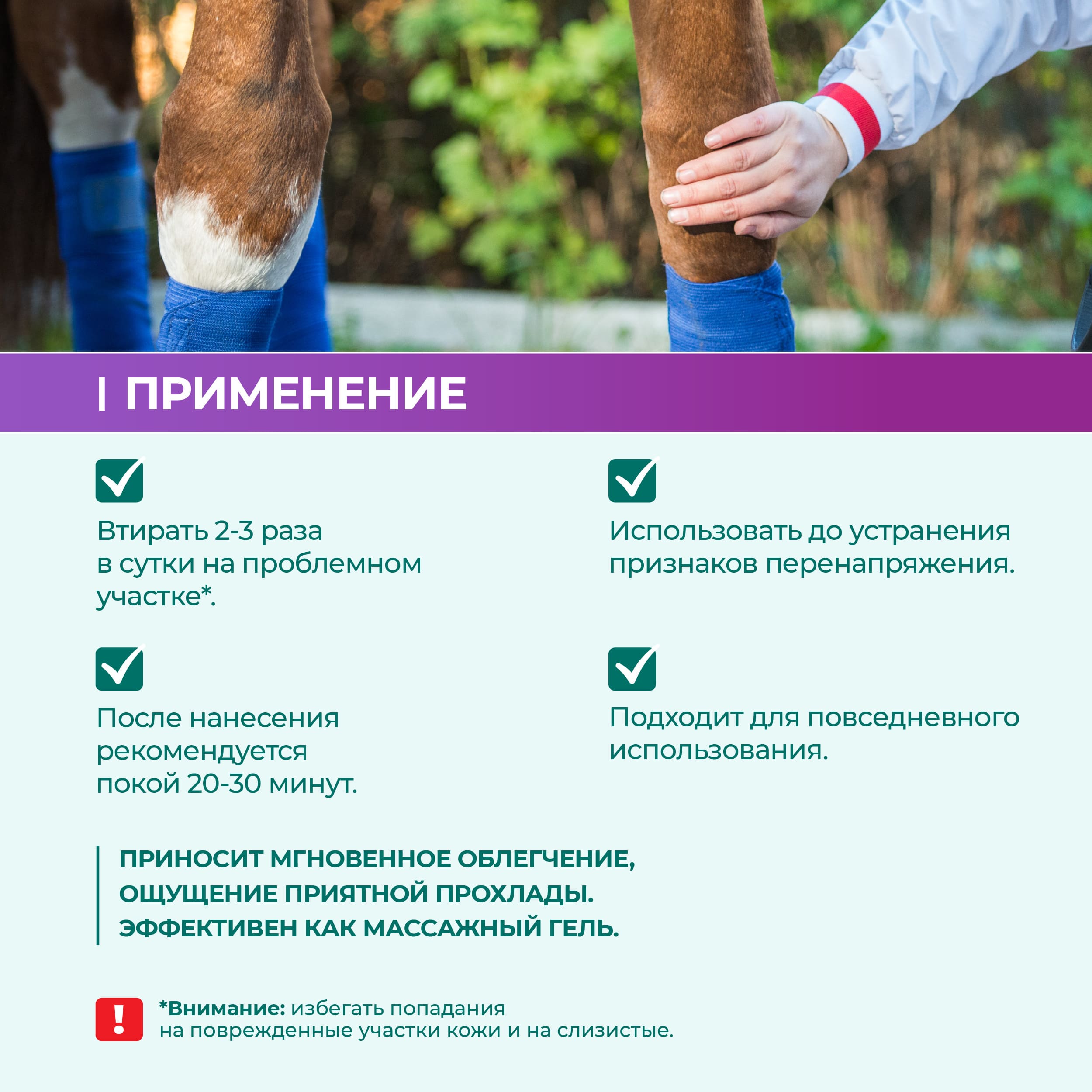 gel-relaksiruyuschij-dlya-loshadej-500-04