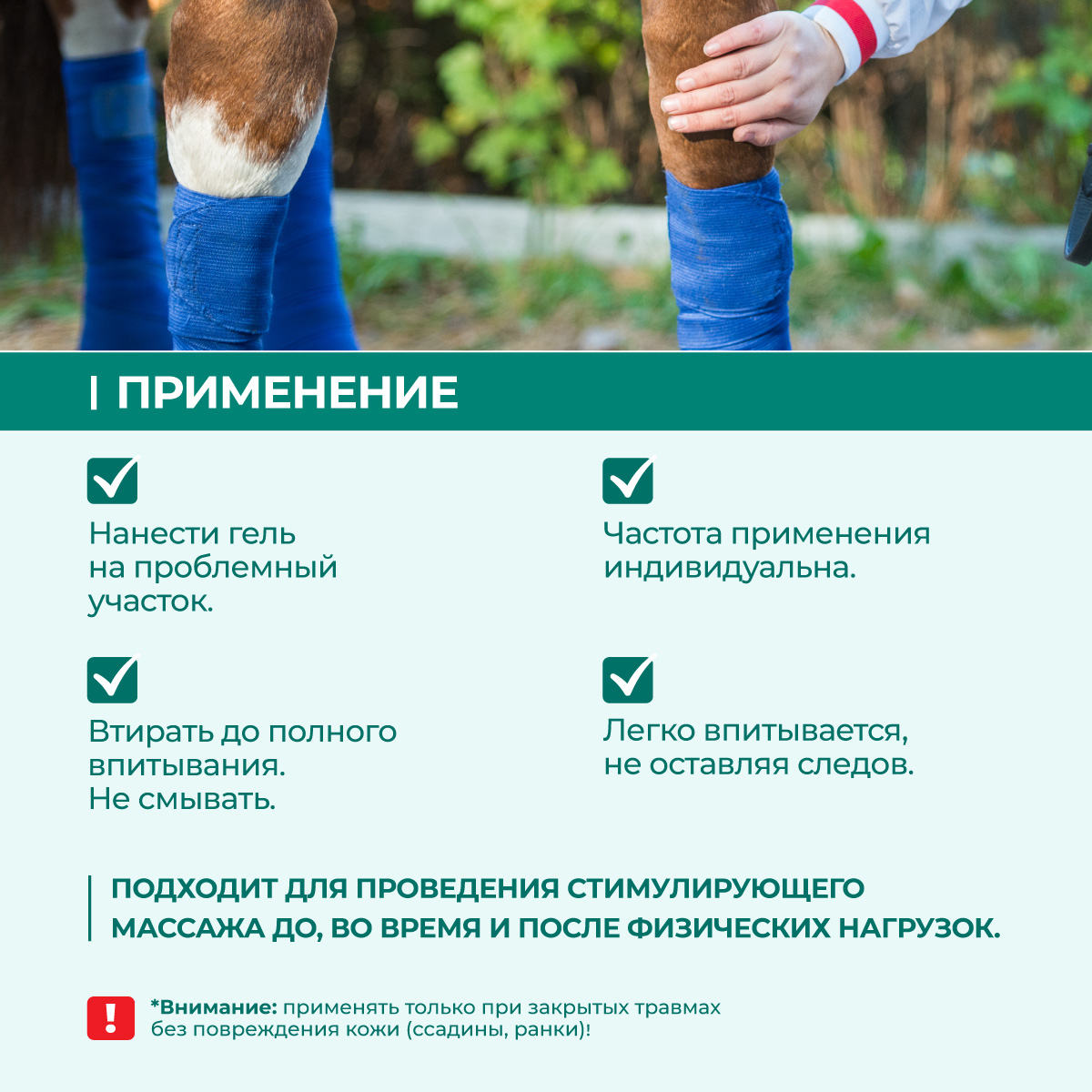 gel-sogrevayuschij-dlya-loshadej-250-04