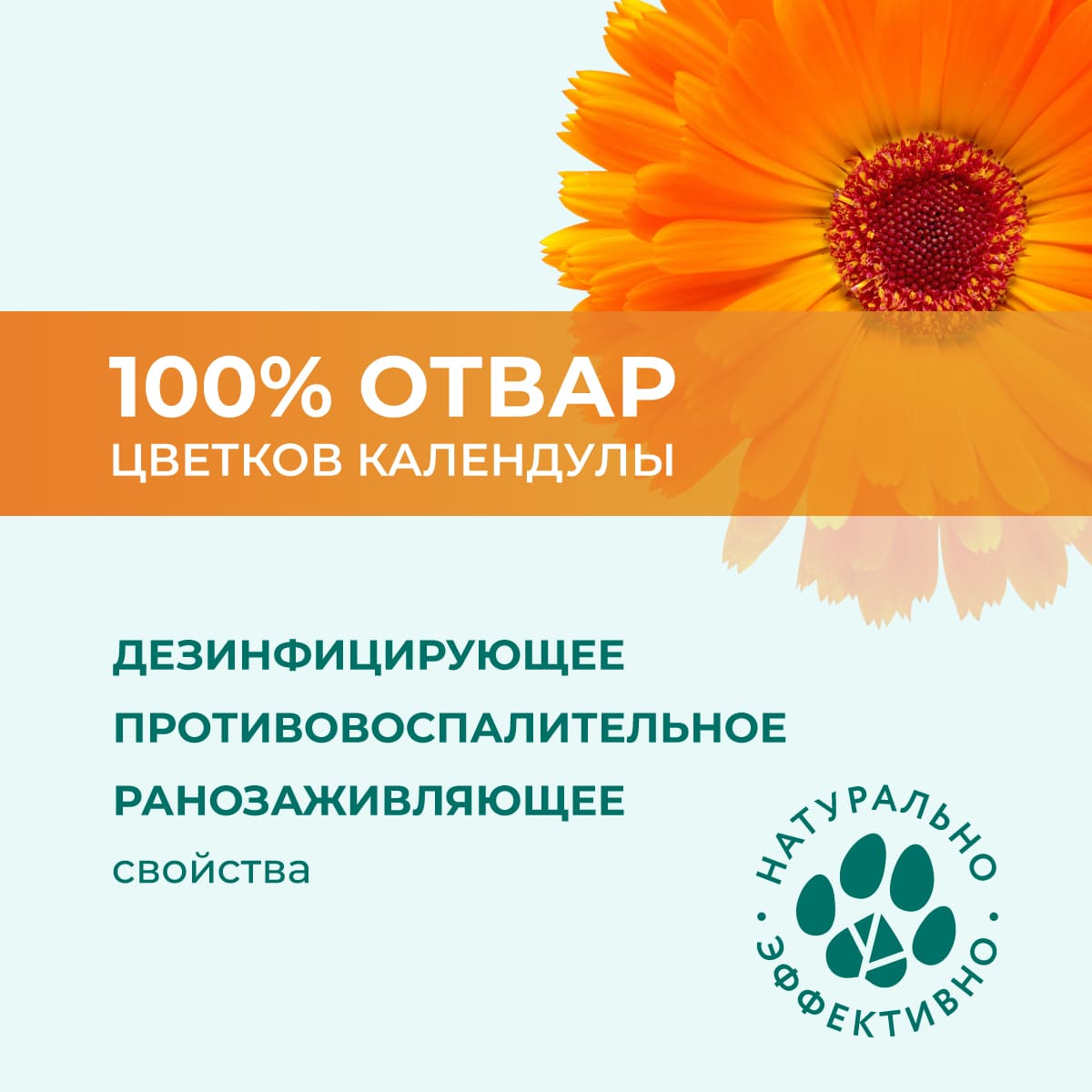 losion-calendula-3