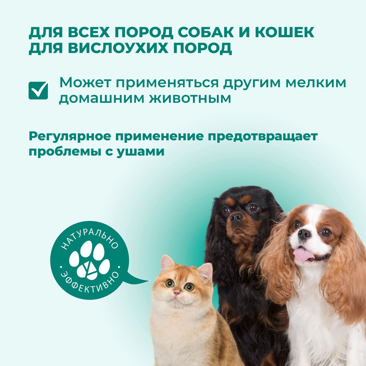 losion-dlya-ushej-02