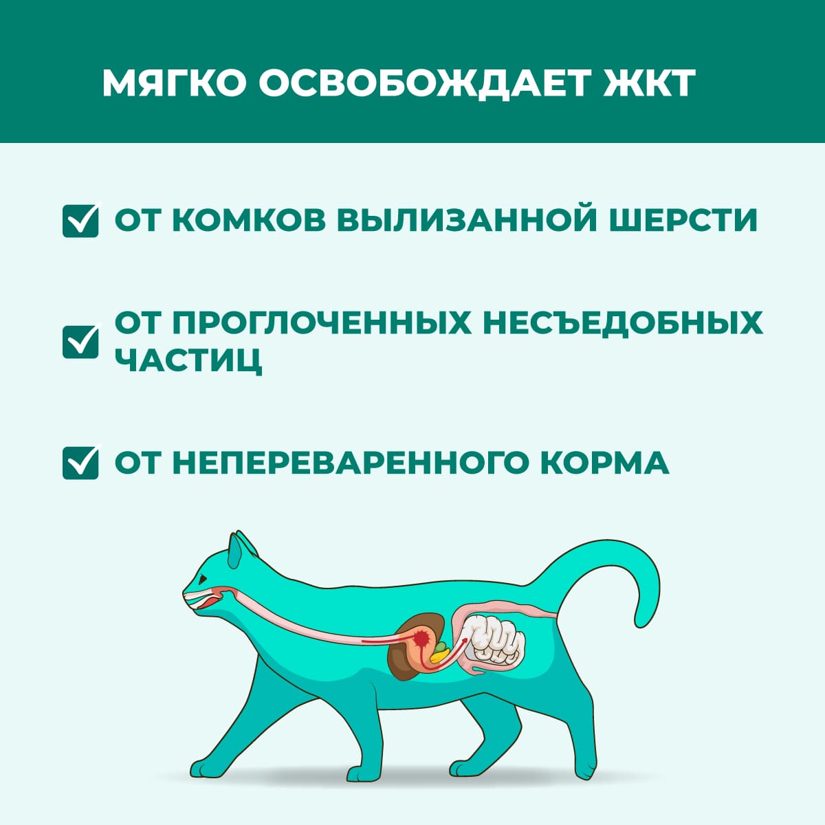 malt-plus-pasta-dlya-koshek-01