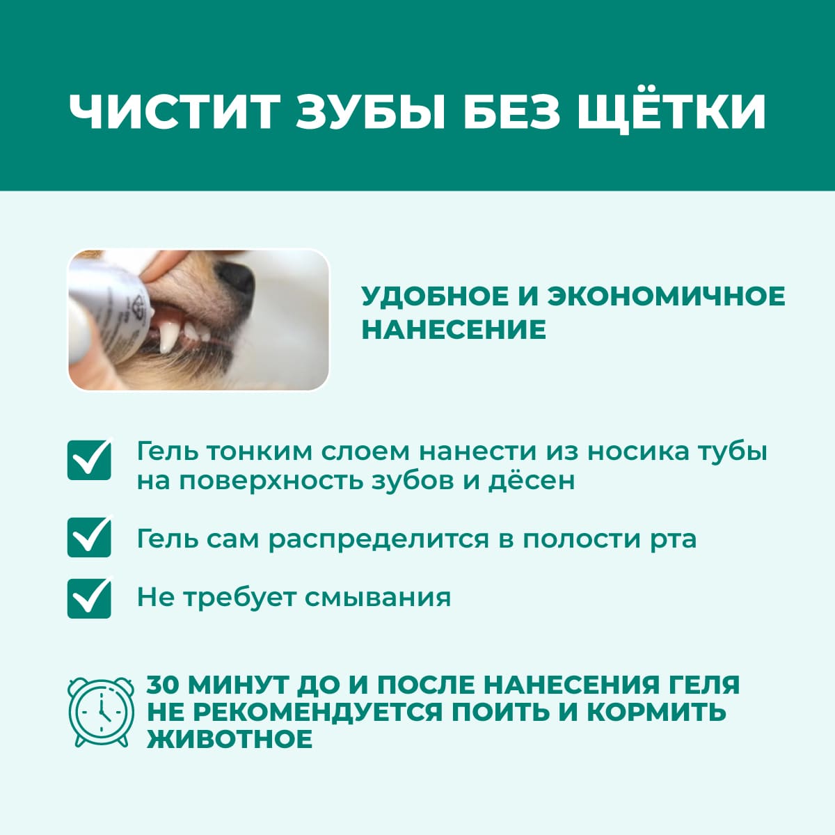 oralvet-gel-dlya-sobak-koshek-02
