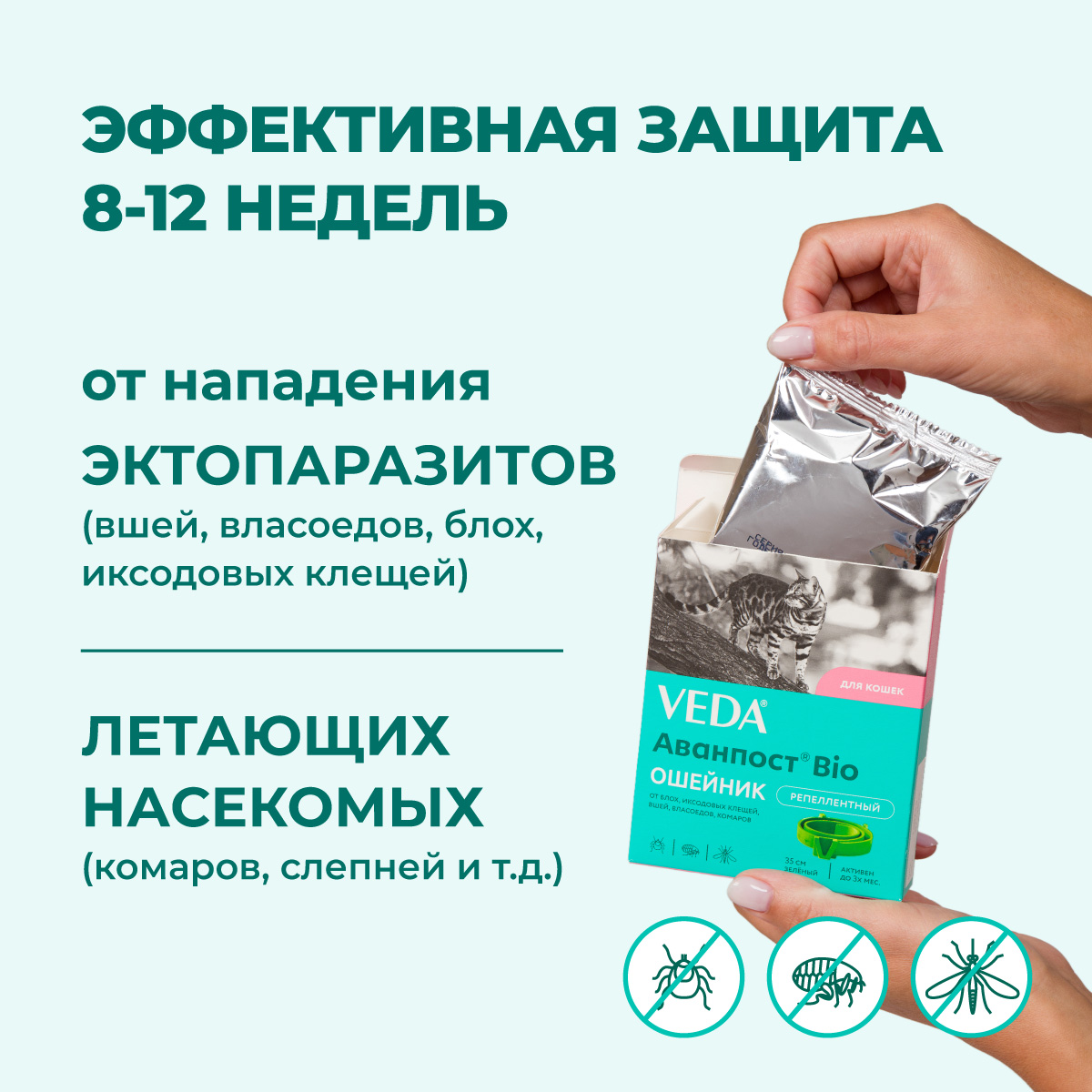 oshejnik-avanpost-bio-koshki-002