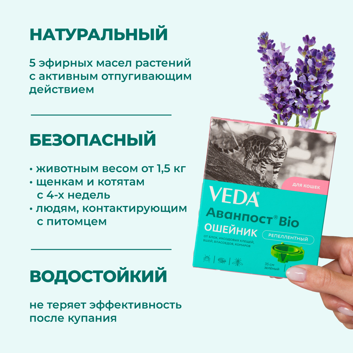 oshejnik-avanpost-bio-koshki-003