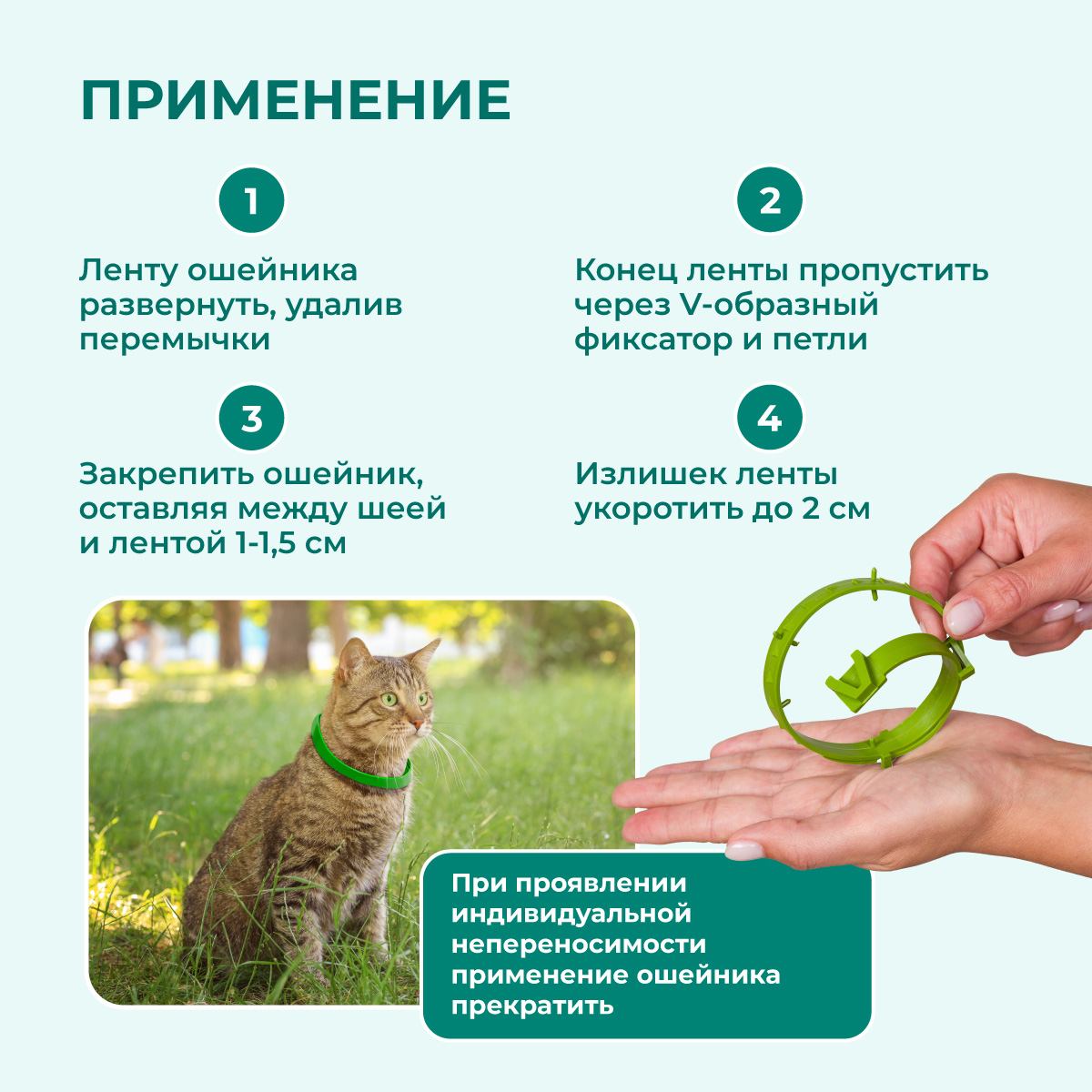 oshejnik-avanpost-bio-koshki-004
