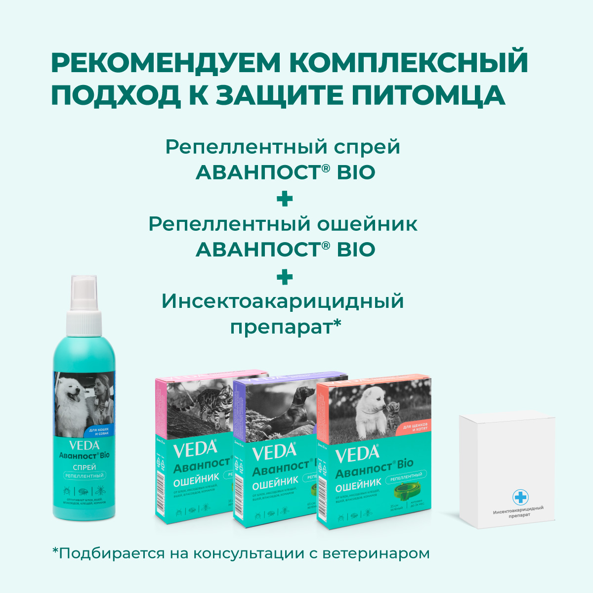 oshejnik-avanpost-bio-koshki-005