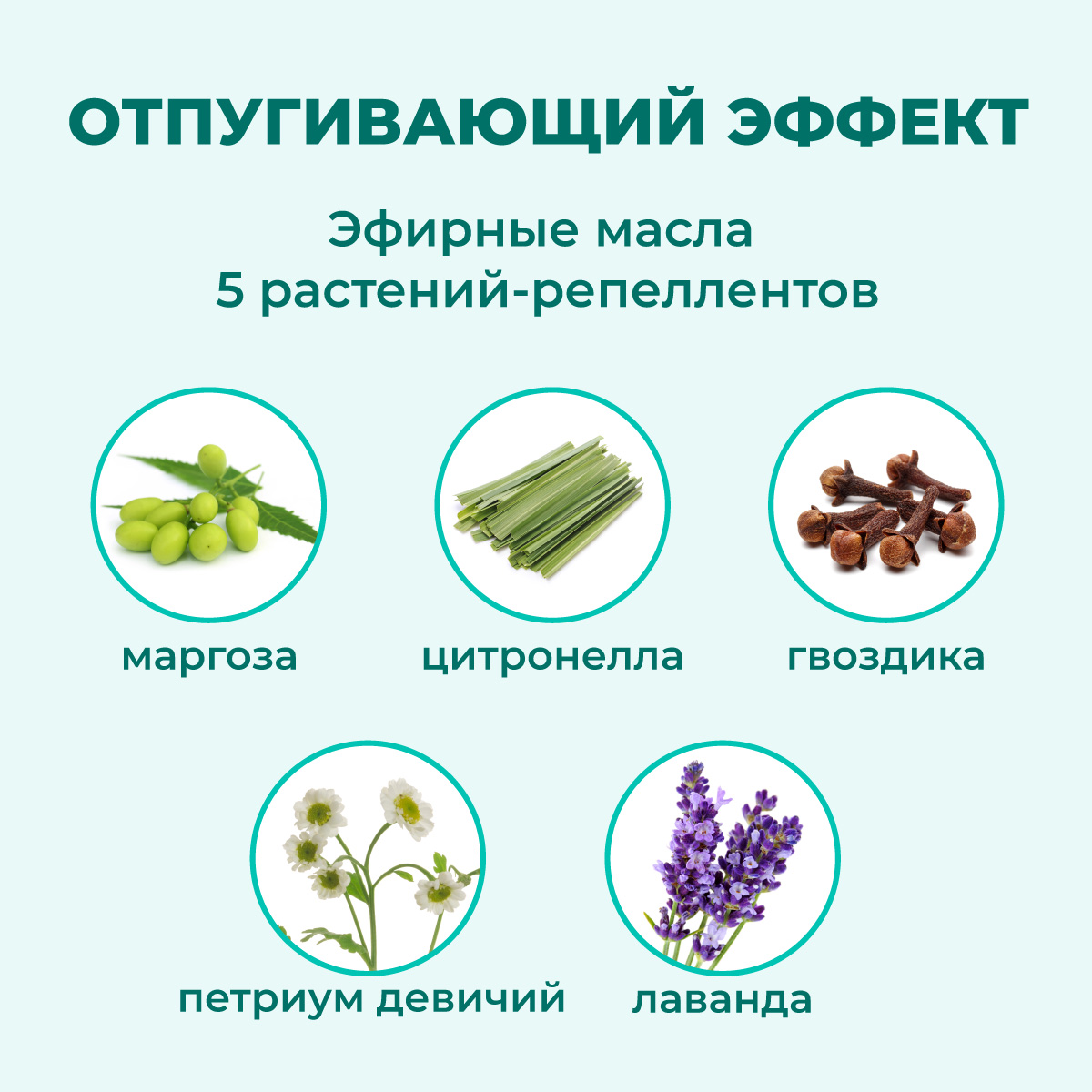 oshejnik-avanpost-bio-kotjatam-schenkam-001