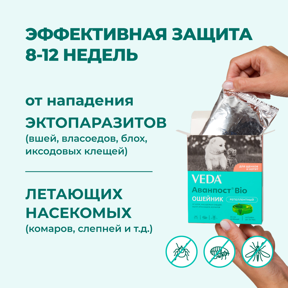 oshejnik-avanpost-bio-kotjatam-schenkam-002