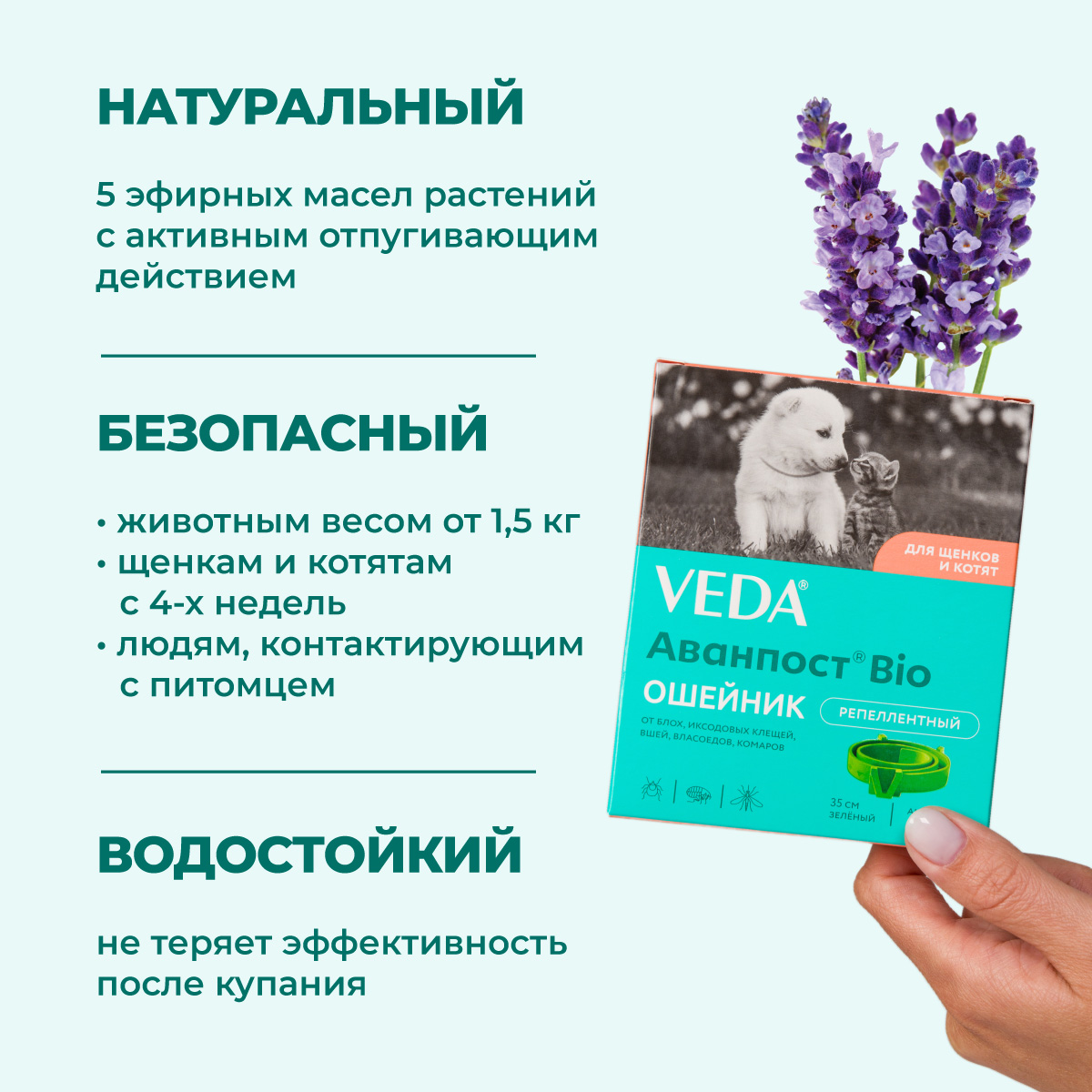 oshejnik-avanpost-bio-kotjatam-schenkam-003