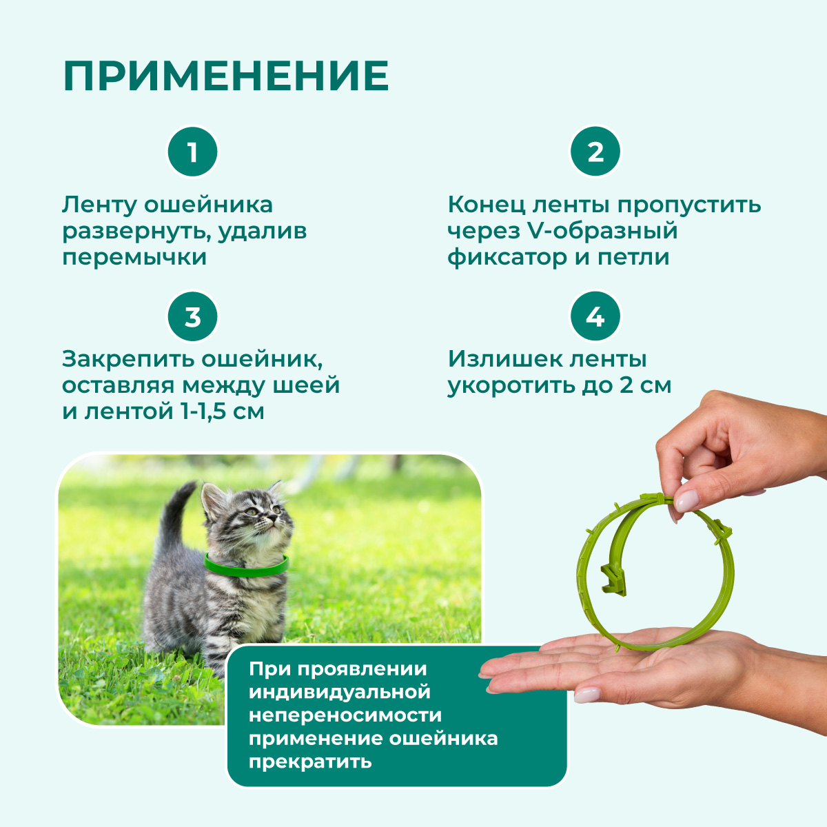 oshejnik-avanpost-bio-kotjatam-schenkam-004