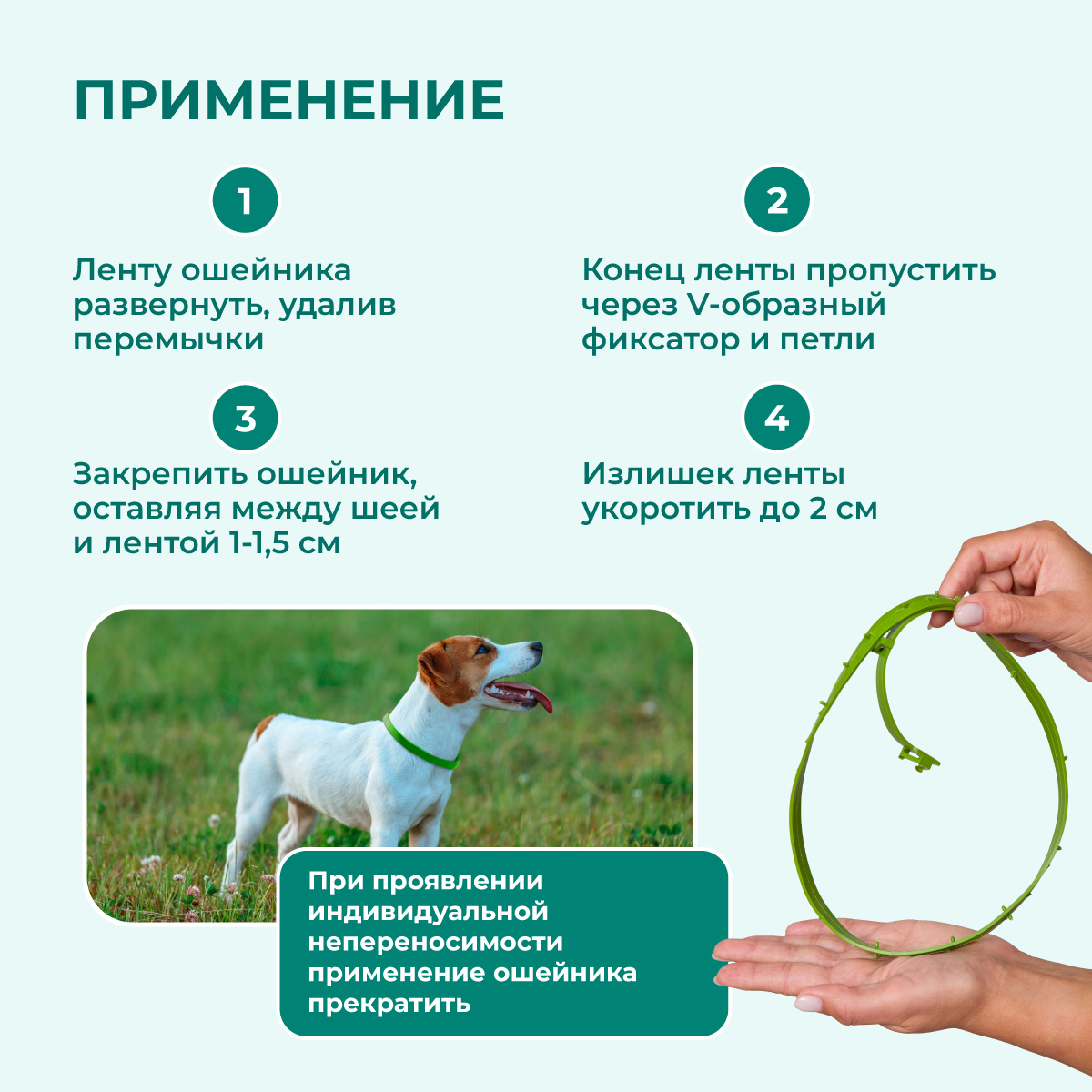 oshejnik-avanpost-bio-sobakam-004