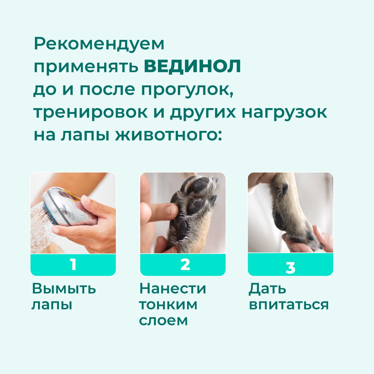 ВЕДИНОЛ ДЛЯ ЛАП кошек и собак с маслом сосны 5