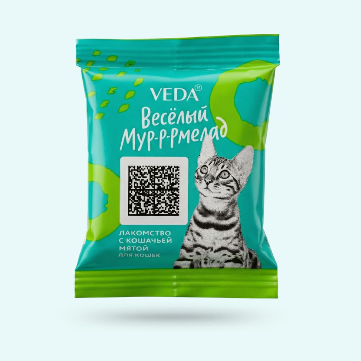 vesjolyj-murrrmelad-s-koshachej-myatoj-00