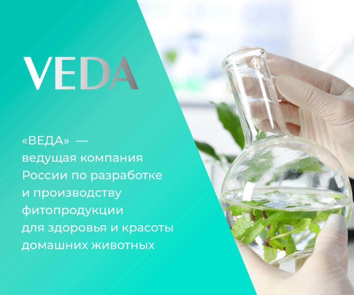 Производитель веда