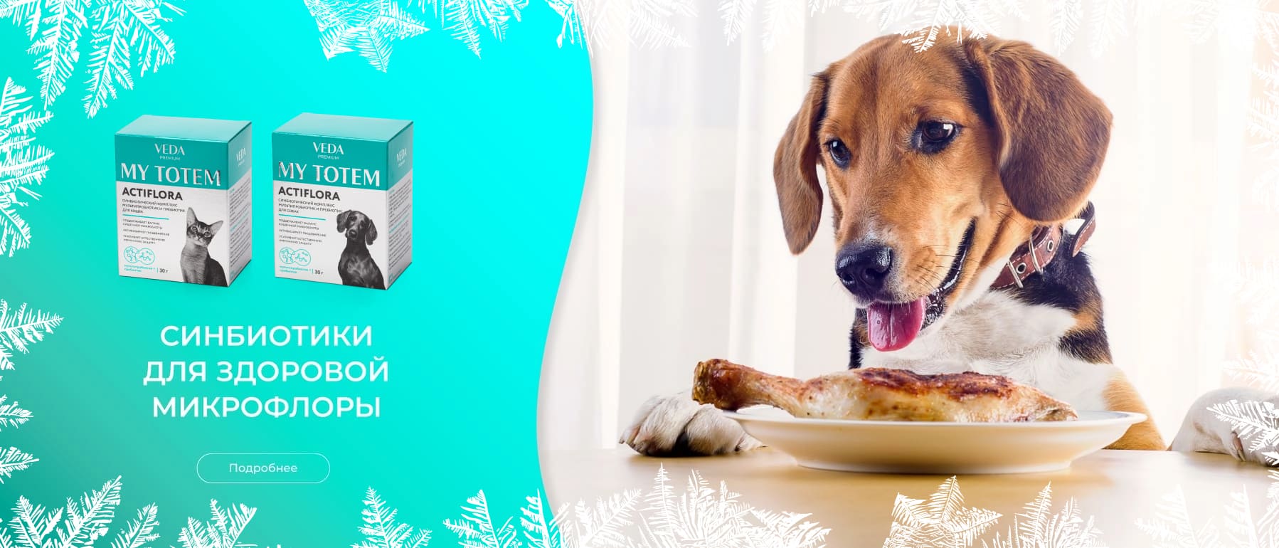 актифлора синбиотик