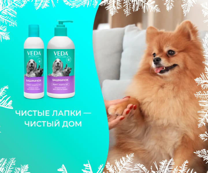 мыть лапы ежедневно жидким мылом башмачок