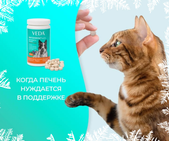 фитомины для поддержки печени собак и кошек