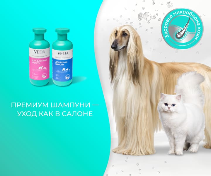 новинки