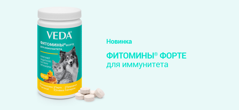 фитомины форте для иммунитета новинка