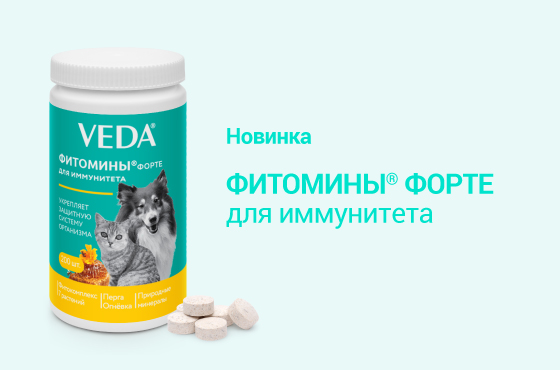 фитомины для иммунитета новинка