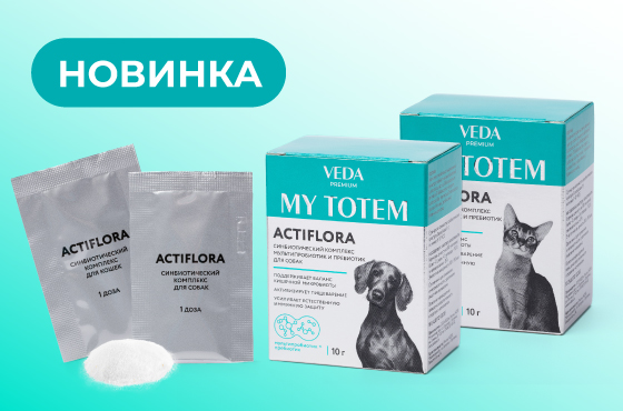 актифлора новая фасовка