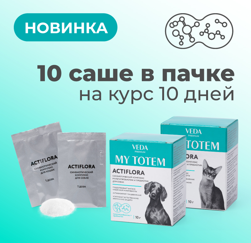 veda на мероприятии 80 лет победы