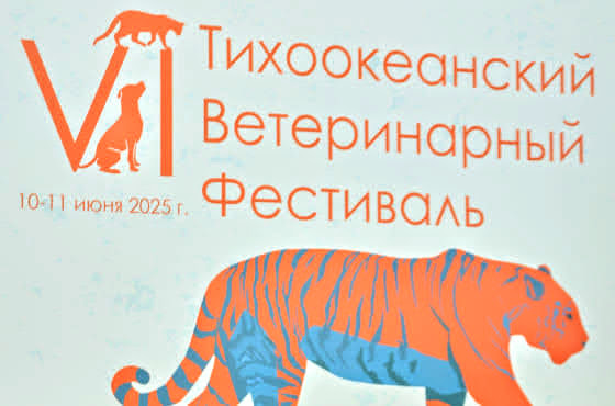 Тихоокеанский Ветеринарный Фестиваль во Владивостоке