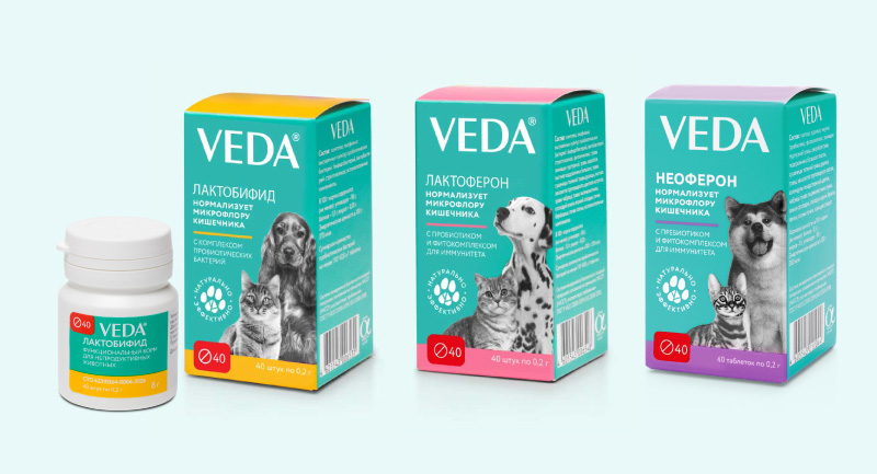 VEDA на глобалфест
