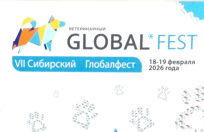 VEDA на глобалфест