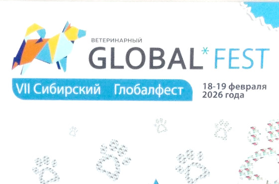 ВЕДА на globalfest 2026